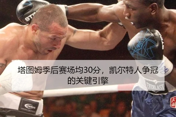 塔图姆季后赛场均30分，凯尔特人争冠的关键引擎