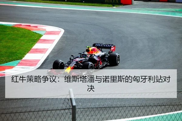 红牛策略争议：维斯塔潘与诺里斯的匈牙利站对决